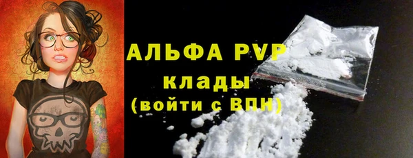 индика Алексин