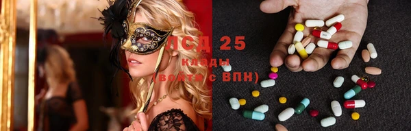 индика Алексин
