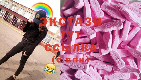 индика Алексин