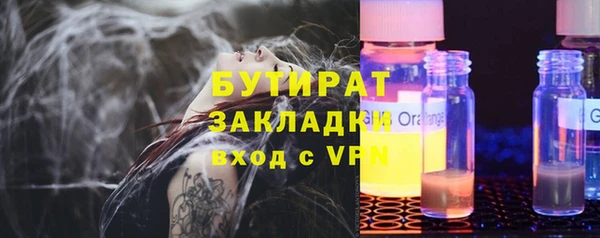 индика Алексин