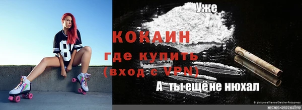 индика Алексин