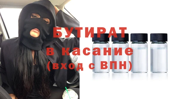 индика Алексин