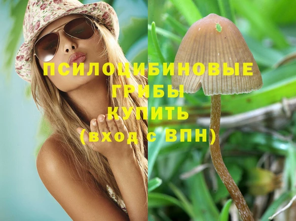 амф Алексеевка