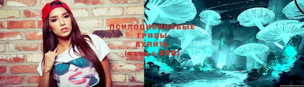 МДПВ Пролетарск