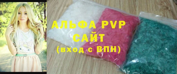индика Алексин
